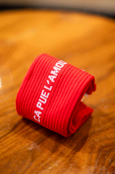 Chaussettes FELICIE AUSSI